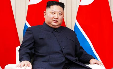 Товарищ Ким отстроит Донбасс и поможет бить нацистов