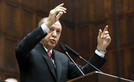 Эрдоган сдержал слово, турки перестали платить за бытовой газ