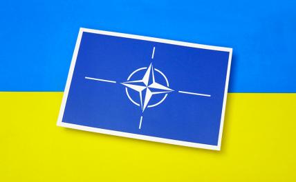 Авторы Politico объяснили, почему США лучше снять вопрос о вступлении Украины в НАТО