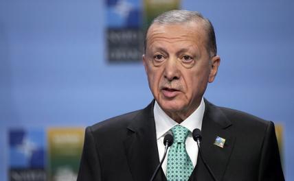 Эрдоган намерен обсудить выдачу командиров «Азова» лично с Путиным