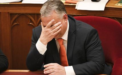 МИД Украины сообщил Орбану о реальности победы над Россией