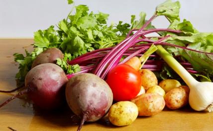 Врач-диетолог предупредила об опасности чрезмерного употребления картофеля