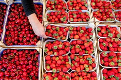 В России предрекли снижение урожая ягод