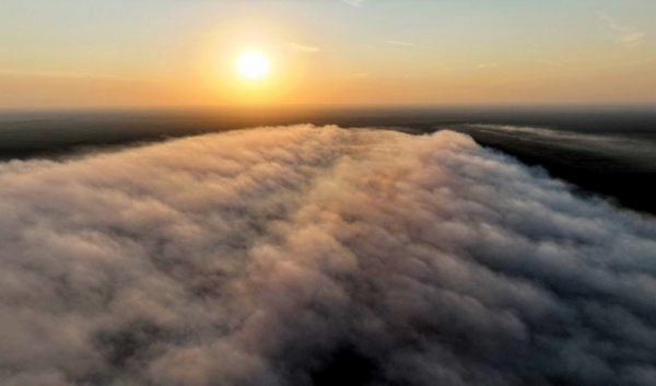 Лесной пожар в Рязанской области, а паленым запахло в Москве