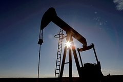 Аналитики предрекли рост импорта российской нефти Индией после снижения закупок