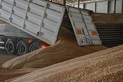 В МИД назвали условия продолжения участия России в зерновой сделке