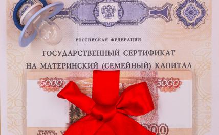 В России предложили использовать маткапитал для покупки автомобиля