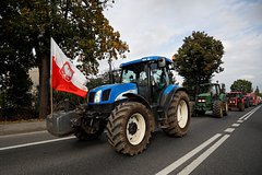 Польша потребовала ввести пошлины на украинскую сельхозпродукцию
