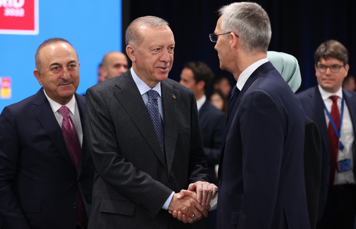 Эрдоган и Столтенберг обсудили события в РФ и вопрос членства Швеции в НАТО