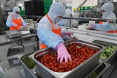«Руспродсоюз» заявил о штатной работе производителей продуктов