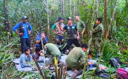 Колумбийское чудо: Выжить 40 дней плутавшим по джунглям детям помогла бабушка Фатима