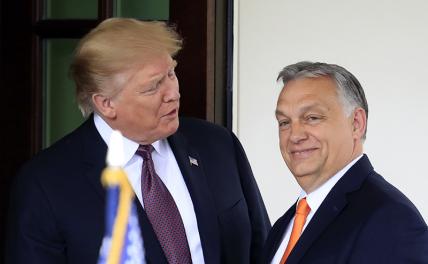 Орбан верит, что Трамп остановит украинский конфликт. Он что-то знает?