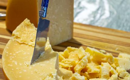 Диетолог назвала самый опасный для здоровья сыр