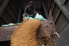 Товарную биржу в Египте решили открыть торгами российской пшеницей