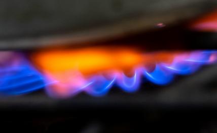 Учёные установили связь между газовой плитой в квартире и возникновением рака