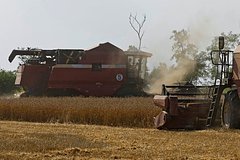 В Австрии призвали везти украинское зерно в страны Африки вместо Европы
