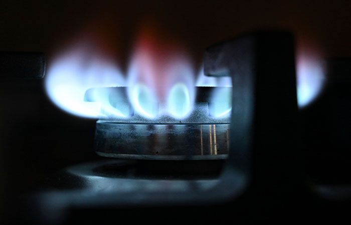 ФАС прорабатывает повышение регулируемых цен на газ в РФ на 8% в 2024 и 2025 гг.